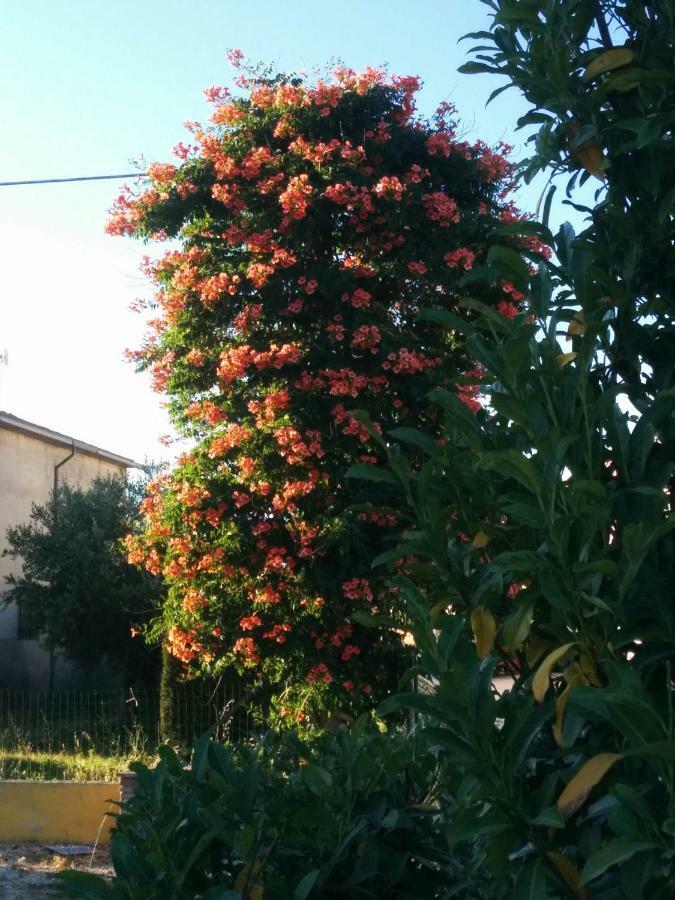 Appartamento Della Pia Bevagna Esterno foto